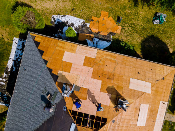 Best Roof Maintenance Services  in Flora, MS