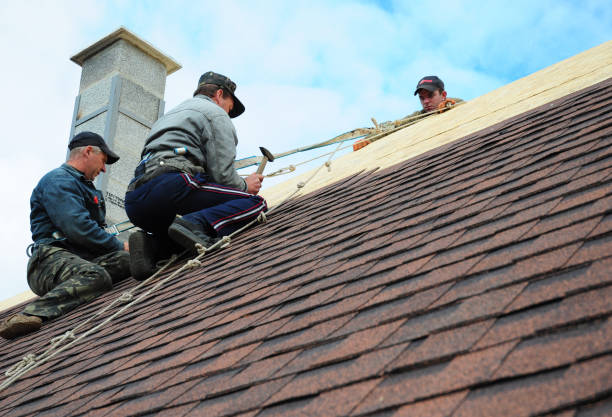 Roof Gutter Cleaning in Flora, MS